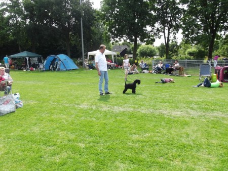 13-07-2013 Clubmatch KC Culemborg BOB,1BIG,5 BIS